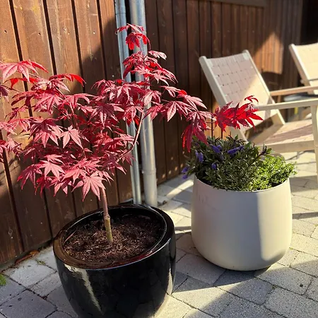 Med Basseng Og Jacuzzi Med Nydelig Utsikt بيت للعطل فارسوند